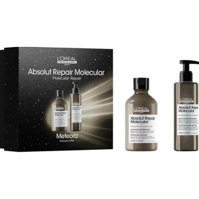 L’Oréal Professionnel Serie Expert Absolut Repair Molecular zestaw upominkowy do włosów zniszczonych