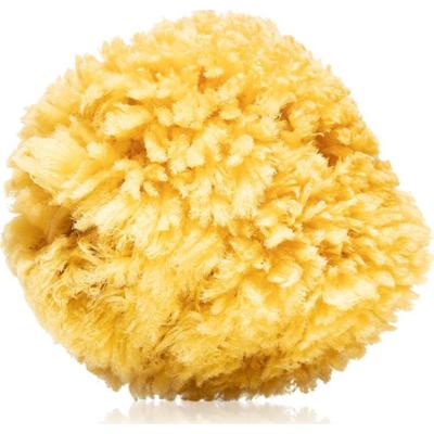 Magnum Natural karaibska gąbka morska 14- 16 cm