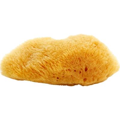 Magnum Natural karaibska gąbka morska 10- 12 cm