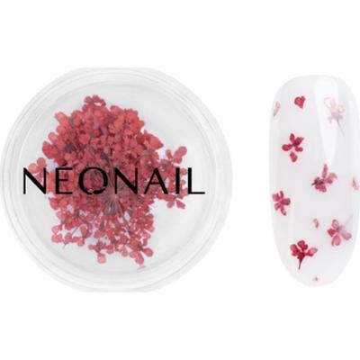 NEONAIL Dried Flowers suszone kwiaty do paznokci odcień 08 Red 1 szt.