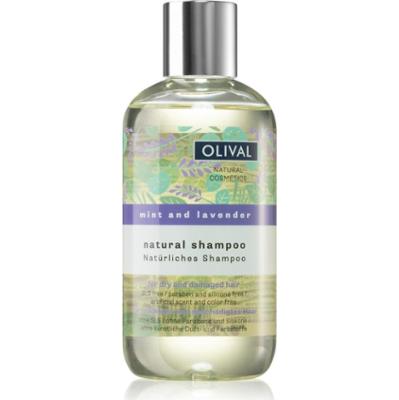 Olival Natural Mint and Lavender szampon naturalny do włosów suchych i zniszczonych 250 ml