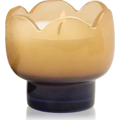 Paddywax Tulip Garden & Grove świeczka zapachowa 155 g