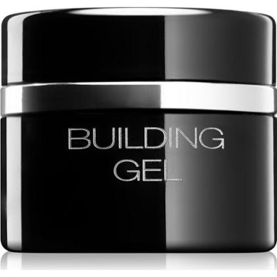 Pierre René Nails Hybrid żel modelujący do paznokci 10 ml