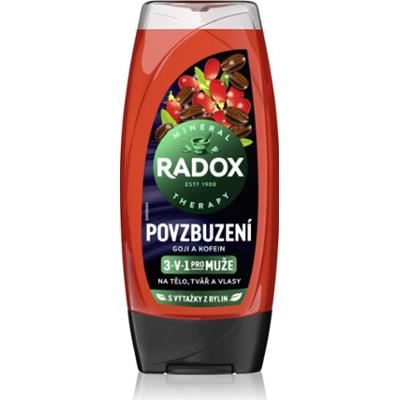 Radox Men Invigorating żel pod prysznic dla mężczyzn 3 w 1 225 ml