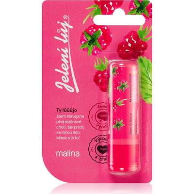 Regina Jelení lůj Raspberry balsam do ust o zapachu malin 4.5 g