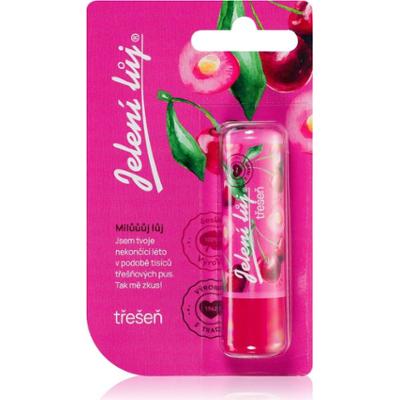 Regina Jelení lůj Cherry balsam do ust 4.5 g