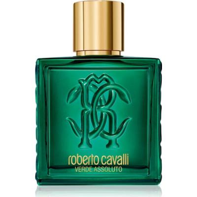 Roberto Cavalli Uomo Verde Assoluto woda perfumowana dla mężczyzn 100 ml