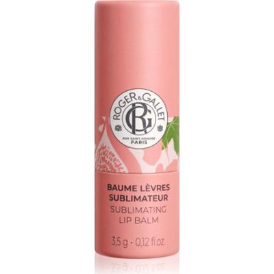 Roger & Gallet Fleur de Figuier Sublimating Lip Balm balsam do ust 3.5 g