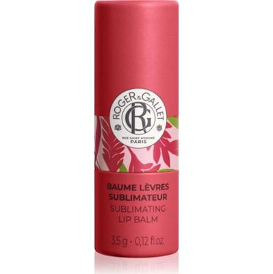 Roger & Gallet Gingembre Rouge Sublimating Lip Balm balsam do ust 3.5 g