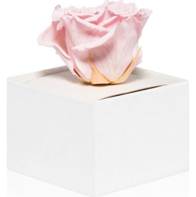 RoseAmor Pink stabilizowana róża w pudełku 1 szt.