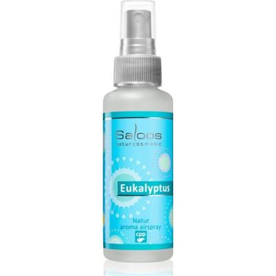 Saloos Air Fresheners Eucalyptus odświeżacz w aerozolu 50 ml
