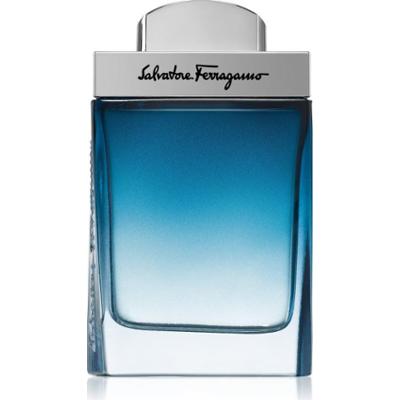 Ferragamo Subtil Pour Homme woda toaletowa dla mężczyzn 50 ml