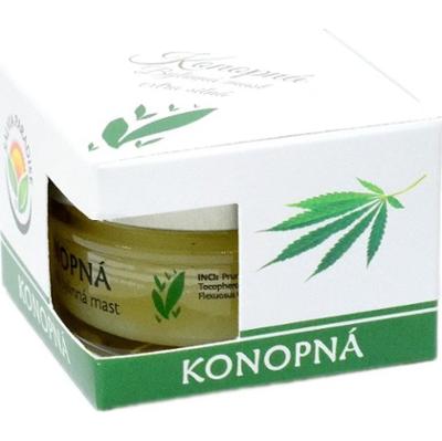 Salvia Paradise Cannabis herbal extra strong maść konopna 50 ml