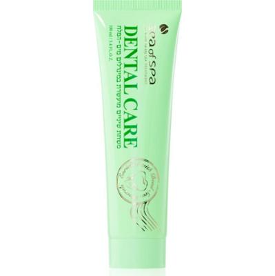 Sea of Spa Dental Care pasta do zębów z minerałami z Morza Martwego 100 ml
