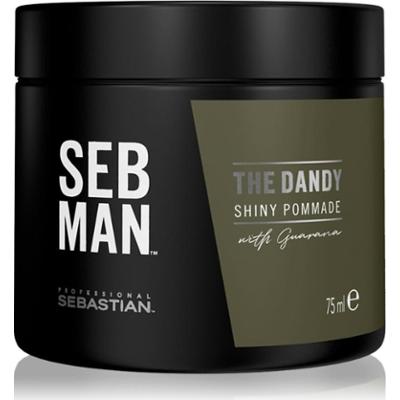 Sebastian Professional SEB MAN The Dandy pomada do włosów do naturalnego utrwalenia 75 ml
