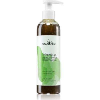 Soaphoria Hair Care Organic Shampoo płynny szampon organiczny do włosów przetłuszczających się 250 ml