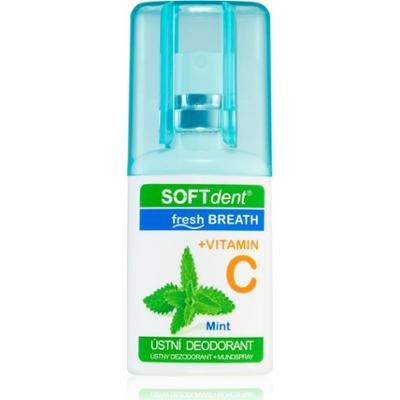 SOFTdent Fresh Mint płyn do płukania na długotrwały świeży oddech 20 ml
