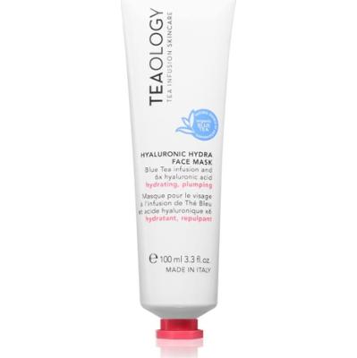 Teaology Hyaluronic Hydra Face Mask maseczka głęboko nawilżająca z kwasem hialuronowym 100 ml