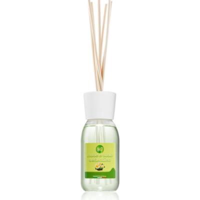 THD Unico Blackberry & Wild Rose dyfuzor zapachowy z napełnieniem 100 ml