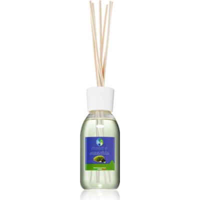 THD Unico Blackberry & Musk dyfuzor zapachowy 200 ml