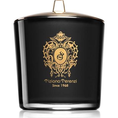 Tiziana Terenzi Ecstasy świeczka zapachowa z drewnianym knotem 500 g