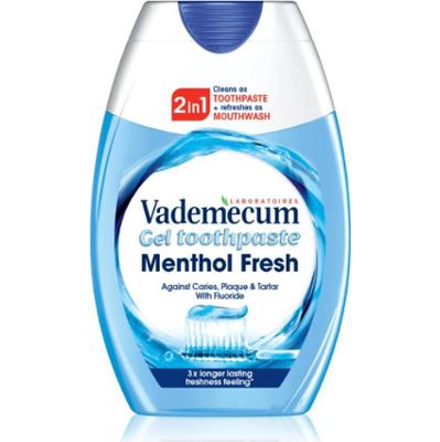 Vademecum 2 in1 Menthol Fresh pasta do zębów i plyn do płukania 2w1 75 ml