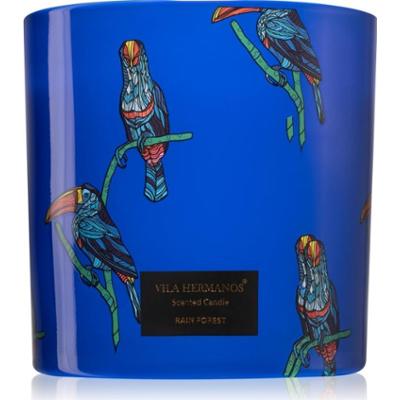 Vila Hermanos Jungletopia Rain Forest świeczka zapachowa 620 g