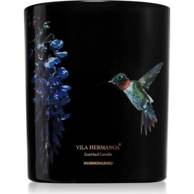 Vila Hermanos Jungletopia Hummingbird świeczka zapachowa 200 g