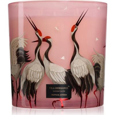 Vila Hermanos Jungletopia Tropical Garden świeczka zapachowa 1450 g