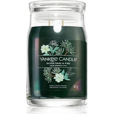 Yankee Candle Silver Sage & Pine świeczka zapachowa Signature 567 g