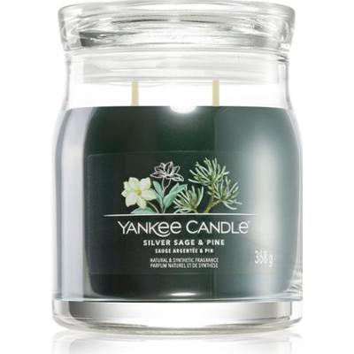 Yankee Candle Silver Sage & Pine świeczka zapachowa Signature 368 g