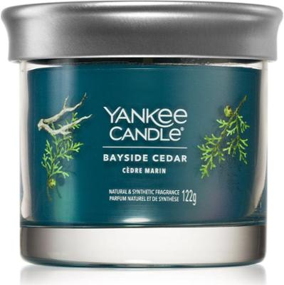 Yankee Candle Bayside Cedar świeczka zapachowa I. 122 g