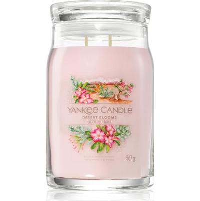 Yankee Candle Desert Blooms świeczka zapachowa 567 g