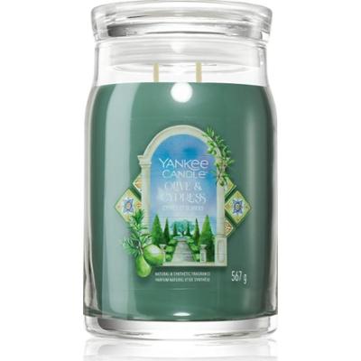 Yankee Candle Olive & Cypress świeczka zapachowa 567 g