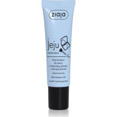 Ziaja Jeju fluid-korektor do twarzy odcień Natural 30 ml