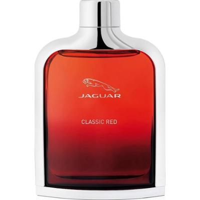 Jaguar Woda toaletowa 100 ml Męskie