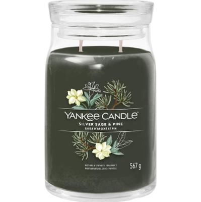 YANKEE CANDLE Silver Sage & Pine Świeczki 567 g