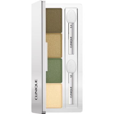 Clinique Eye Shadow Quad Cienie do powiek 3,3 g 5 - ON SAFARI