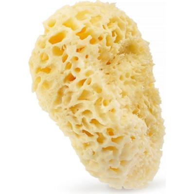 HHUUMM Naturalna gąbka 01H ( zółta) 17,5 cm HHUUMM Gąbki 1 ct
