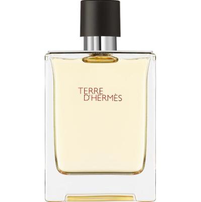HERMÈS Terre d’Hermès Woda toaletowa 100 ml Męskie