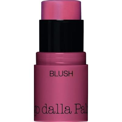 Diego dalla Palma All In One Blush Róż do policzków 4 g 43 - PINK