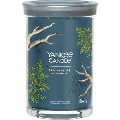 YANKEE CANDLE BAYSIDE CEDAR Świeczki 567 g