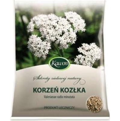 KORZEŃ Kozłka 50g