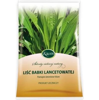 LIŚĆ Babki lancetowatej 50g