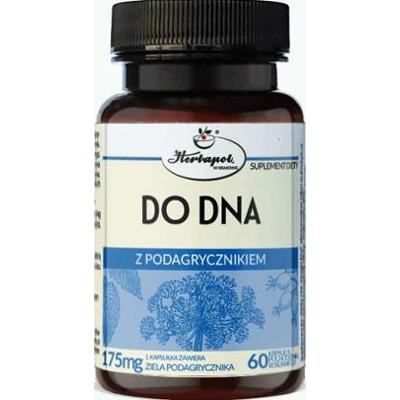 Do Dna z Podagrycznikiem x 60 kapsułek