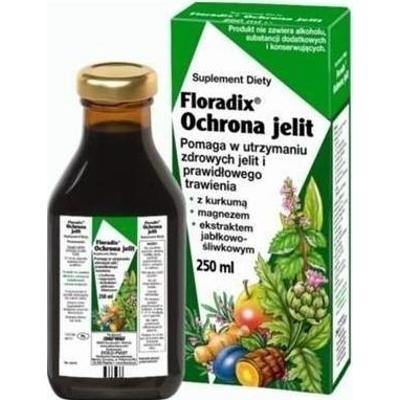 Floradix Ochrona jelit tonik 250ml