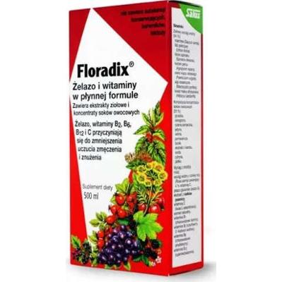 Floradix Żelazo i Witaminy tonik 500ml