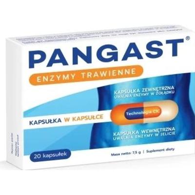 Pangast x 20 kapsułek