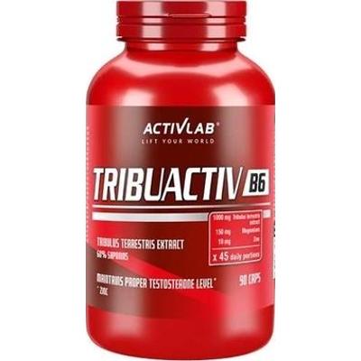 Tribuactiv B6 x 90 kapsułek