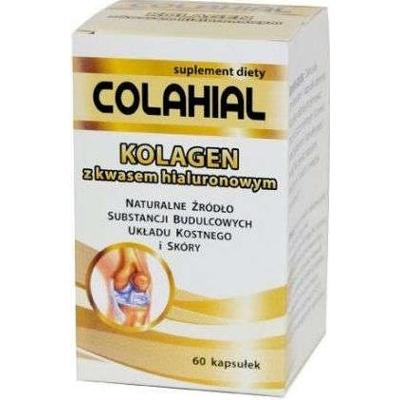 COLAHIAL Kolagen z kwasem hialuronowym x 60 kapsułek